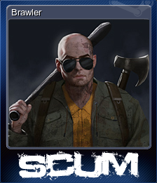 Brawler (集换式卡牌)