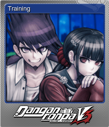 Training (闪亮)