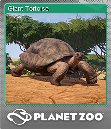 Giant Tortoise (闪亮)