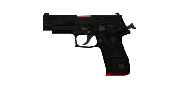 SIGNATURE .40 PISTOL | Insomnia, Broken-In