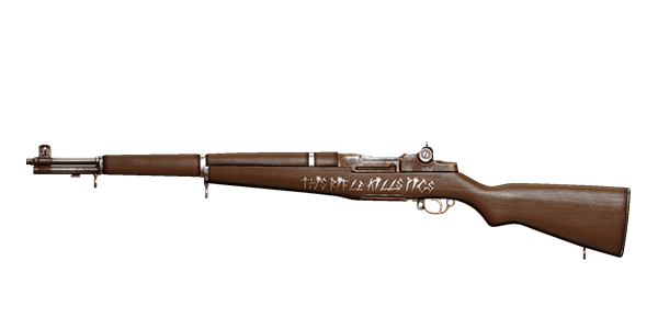 GALANT RIFLE | This Rifle, Lightly-Marked, Stat Boost