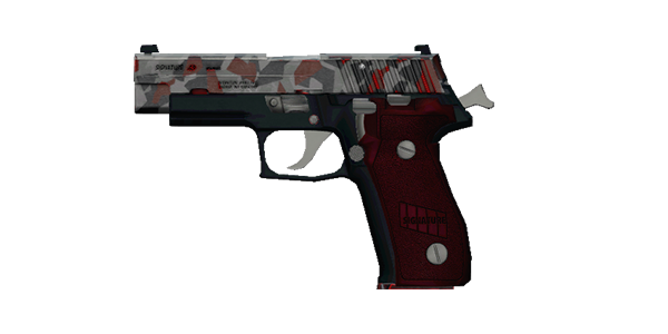 SIGNATURE .40 PISTOL | Polisgris, Battle-Worn