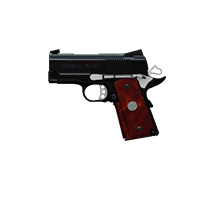 AKIMBO CROSSKILL GUARD PISTOLS | Twins of Grain, Mint-Condition, Stat Boost