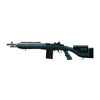 M308 RIFLE | Digital Burn, Broken-In