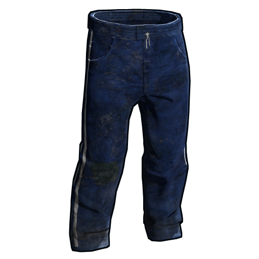 Blue Track Pants