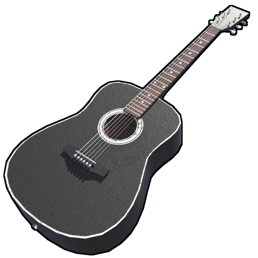Black Acoustic Guitar
