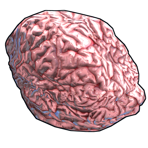Fresh Brain