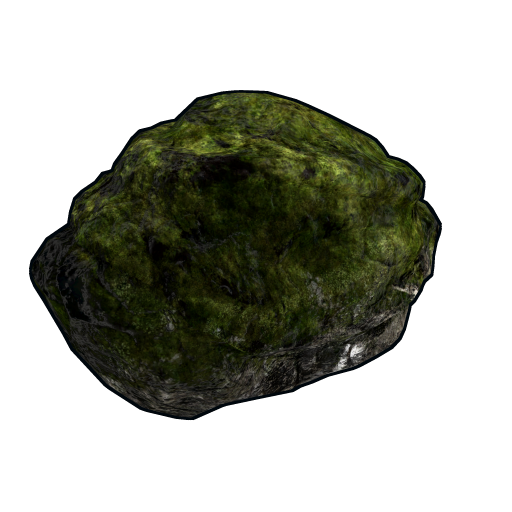 Mossy Fossil