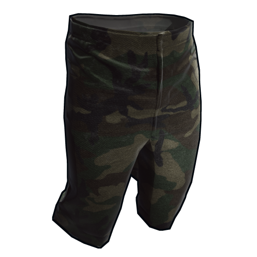 Camo Shorts