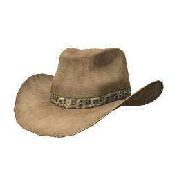 Skin: Tan Cowboy Hat