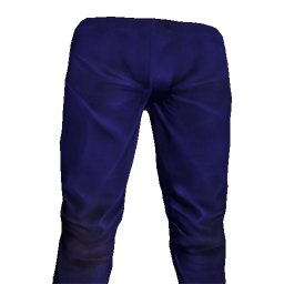 Skin: Blue Sports Pants