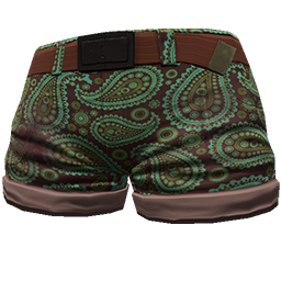 Skin: Aqua Paisley Shorts