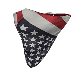 Skin: All American Face Bandana