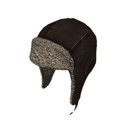 Skin: Aviator Cap