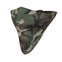 Skin: Camo Face Bandana
