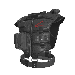 Skin: Heavy Assault Body Armor