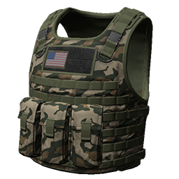 Skin: Camo Body Armor