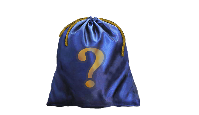 Elite Bag