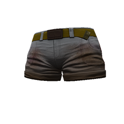 Racing Shorts