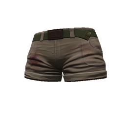 Tan Shorts