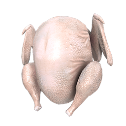 Salmonella