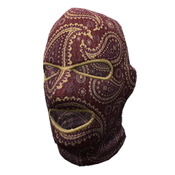 Paisley Ski Mask