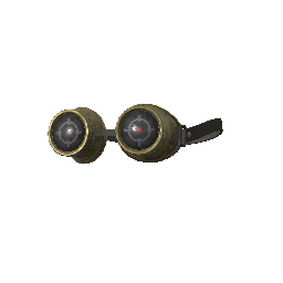 Bullseye Goggles