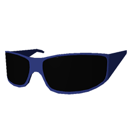 Blue Biker Shades