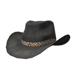 Black Cowboy Hat