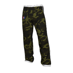 Twin Galaxies Warmup Pants (Camo)