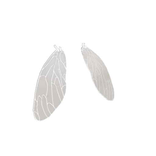Haunted Frontier Flyboy