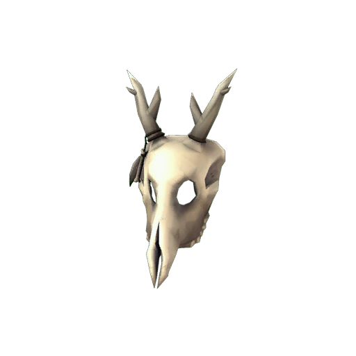 The Shaman's Skull