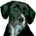 :Dog_thief: