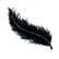 :quill: