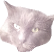 :spacecacos: