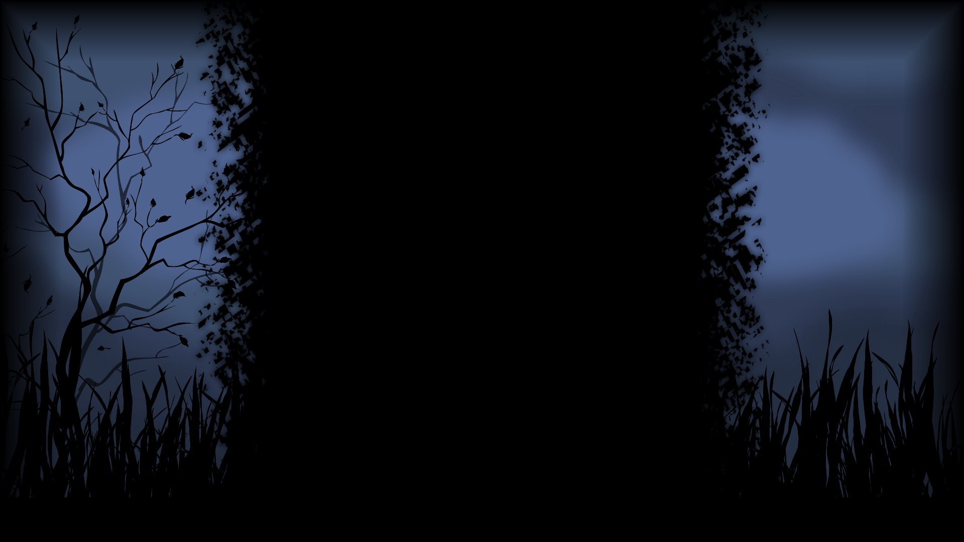 Night in woods