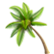 400250-:paradisepalm: