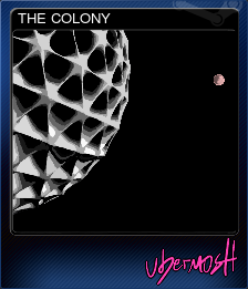 357070-THE COLONY