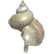 :CavemanYellowShell: