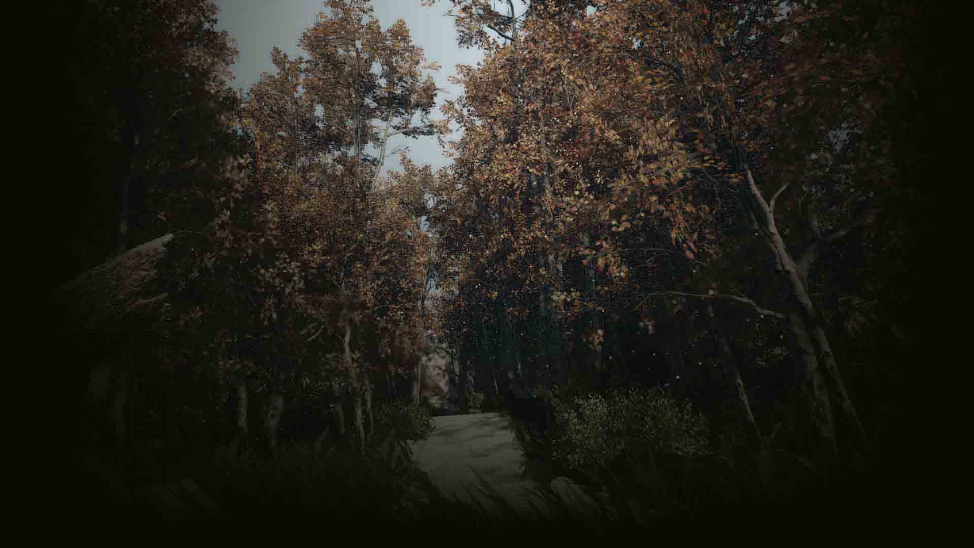the winter forest