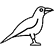 :raven_white: