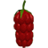 :CavemanRaspberry: