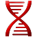 :DNA: