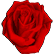 :mind_rose: