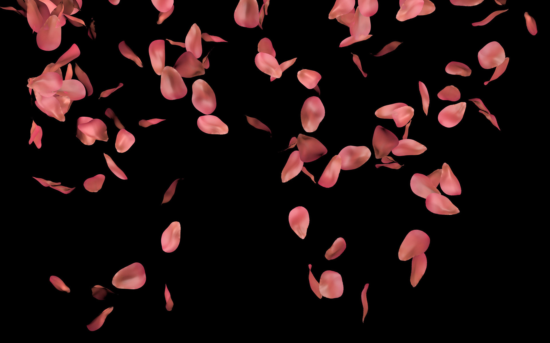 Rose Petals