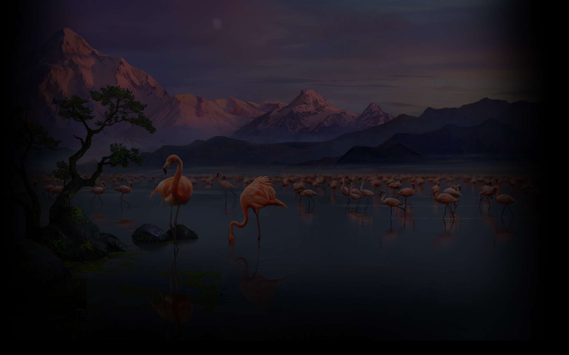 Game Location (个人资料背景)