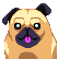 :pug: