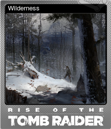 Wilderness (闪亮)