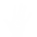 :whiteward:
