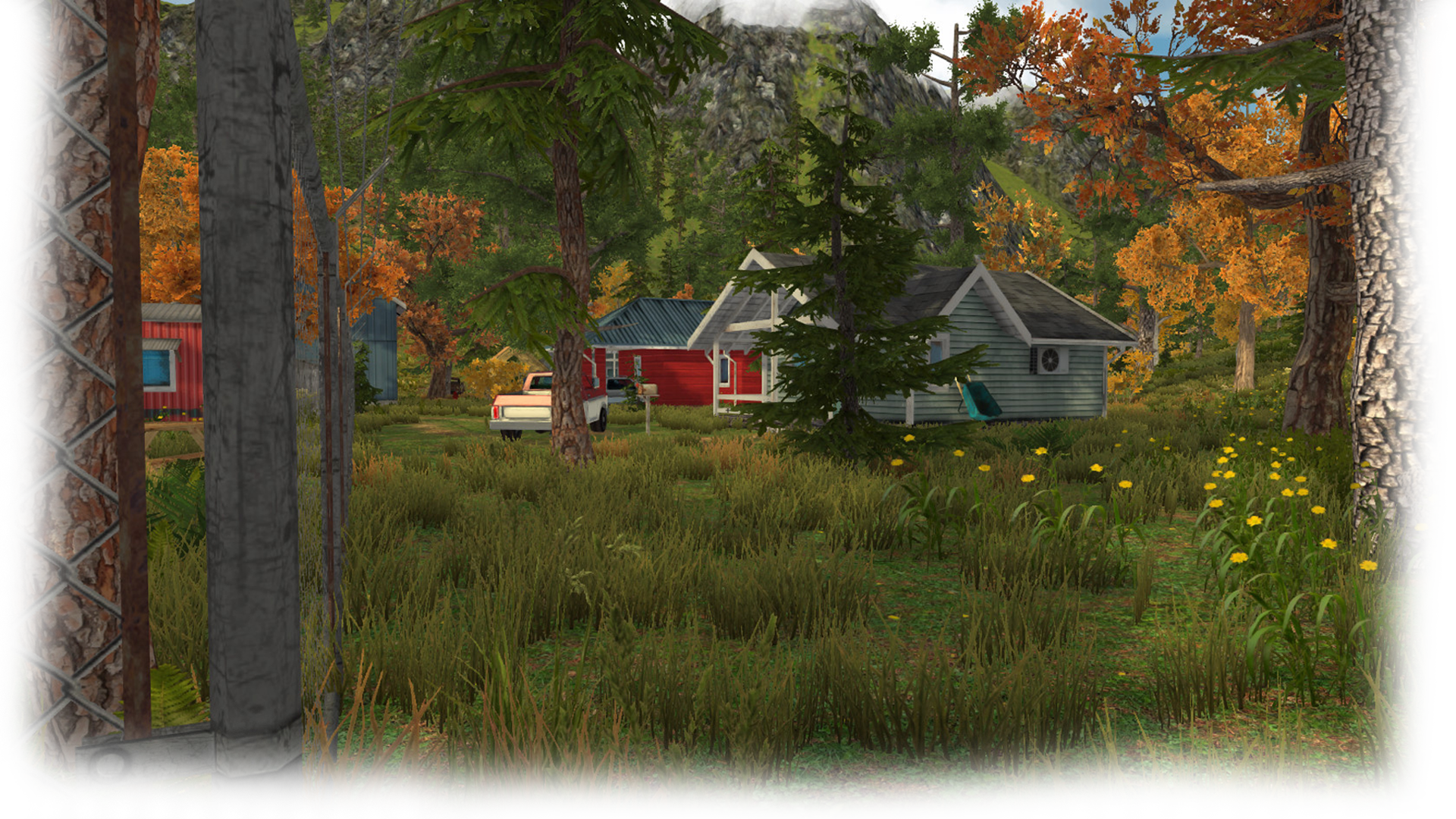 Forest district